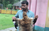 Police arrest Hebri man and seize leopard pelt